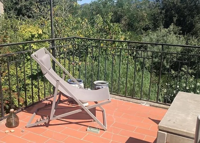 Maison Calme Lavande Et Coquelicots