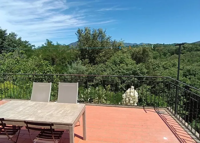 Maison Calme Lavande Et Coquelicots *